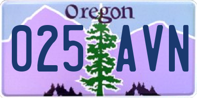 OR license plate 025AVN