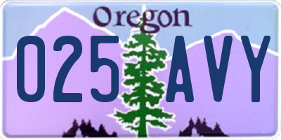OR license plate 025AVY