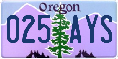 OR license plate 025AYS