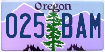OR license plate 025BAM