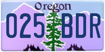 OR license plate 025BDR