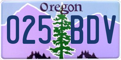 OR license plate 025BDV