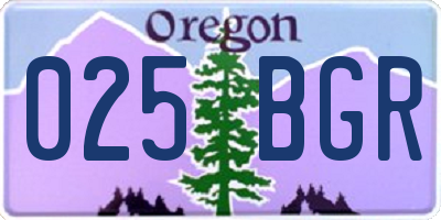 OR license plate 025BGR