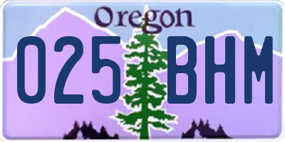 OR license plate 025BHM