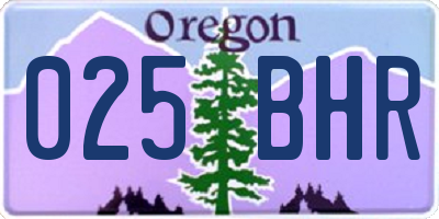 OR license plate 025BHR