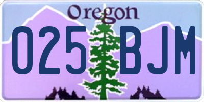 OR license plate 025BJM