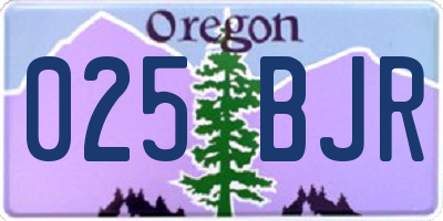 OR license plate 025BJR