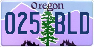 OR license plate 025BLD