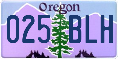 OR license plate 025BLH