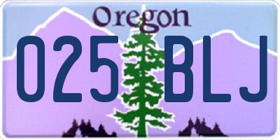 OR license plate 025BLJ