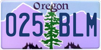 OR license plate 025BLM