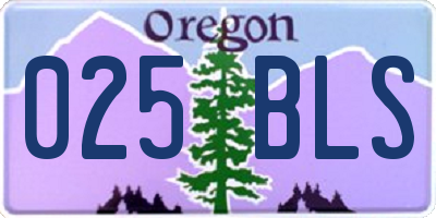 OR license plate 025BLS