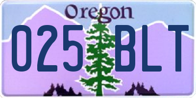 OR license plate 025BLT