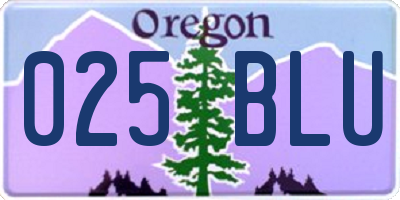 OR license plate 025BLU
