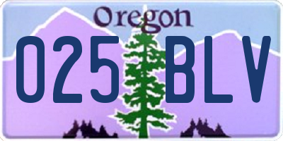 OR license plate 025BLV