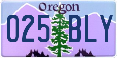 OR license plate 025BLY