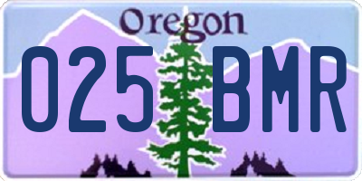 OR license plate 025BMR
