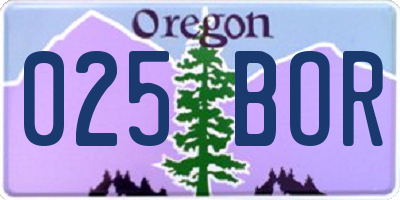 OR license plate 025BOR