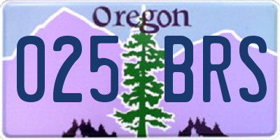 OR license plate 025BRS