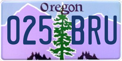 OR license plate 025BRU
