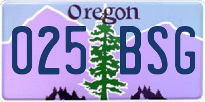 OR license plate 025BSG