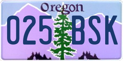 OR license plate 025BSK