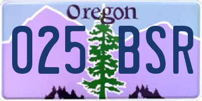OR license plate 025BSR