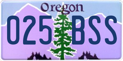 OR license plate 025BSS