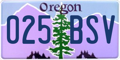 OR license plate 025BSV