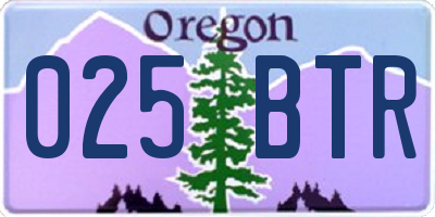 OR license plate 025BTR