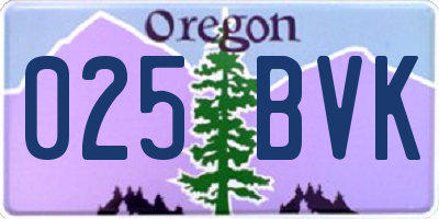 OR license plate 025BVK