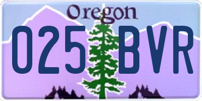 OR license plate 025BVR