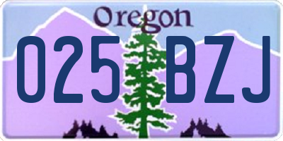 OR license plate 025BZJ