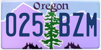 OR license plate 025BZM