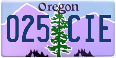 OR license plate 025CIE