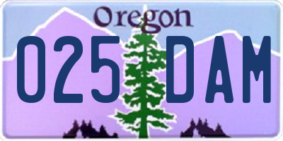 OR license plate 025DAM