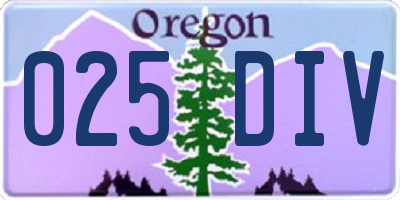 OR license plate 025DIV