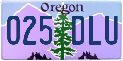 OR license plate 025DLU