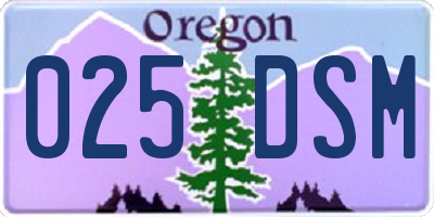 OR license plate 025DSM