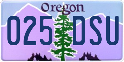 OR license plate 025DSU