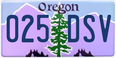 OR license plate 025DSV