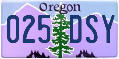 OR license plate 025DSY