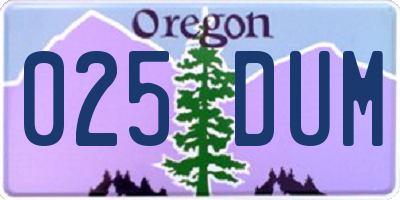 OR license plate 025DUM