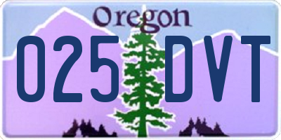 OR license plate 025DVT