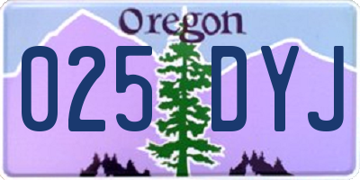 OR license plate 025DYJ