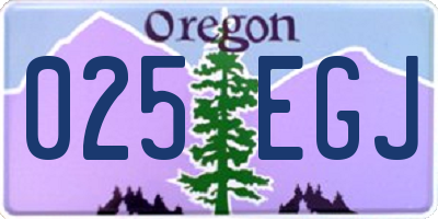 OR license plate 025EGJ