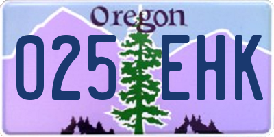 OR license plate 025EHK