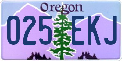 OR license plate 025EKJ
