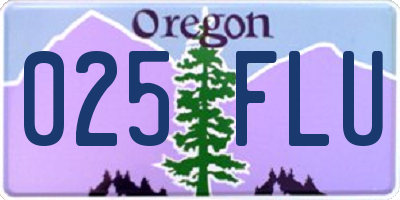 OR license plate 025FLU