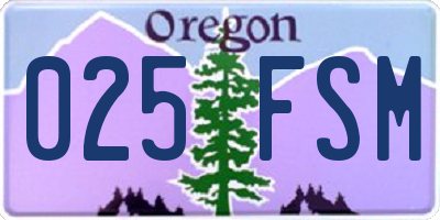 OR license plate 025FSM